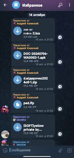 IMG_20241113_093747.jpg IMG_20241113_093747.jpg