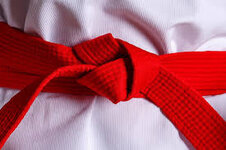 1000019008.jpg 1000019008.jpg