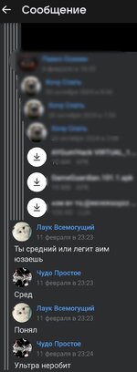 Screenshot_2025-03-23-13-24-57-065-edit_com.vkontakte.android.jpg