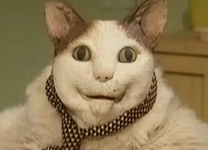 1754441534022.png 1754441534022.png