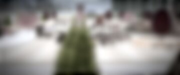 (превью) Готовы вместе — спасение и здоровье  день открытых дверей экстренных служб в Тиховске.jpg