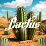 Cactus_Excellent